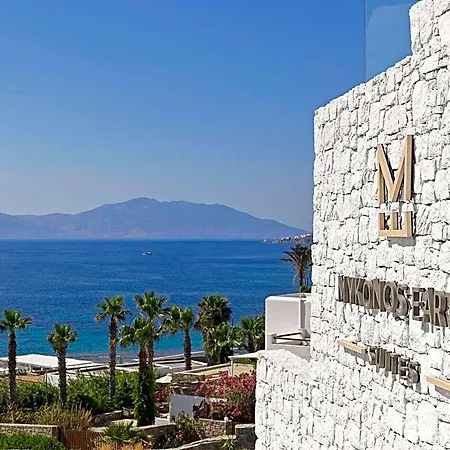 Mykonos Earth (adults Only) מלון