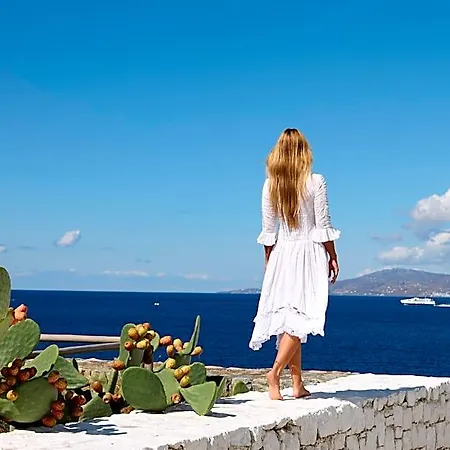 Hotel Mykonos Earth (adults Only) 5*